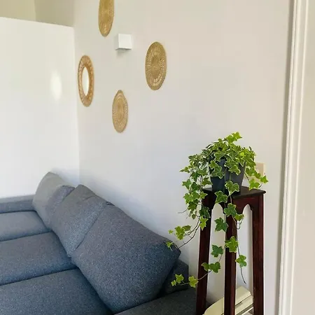 Apartment Bivu