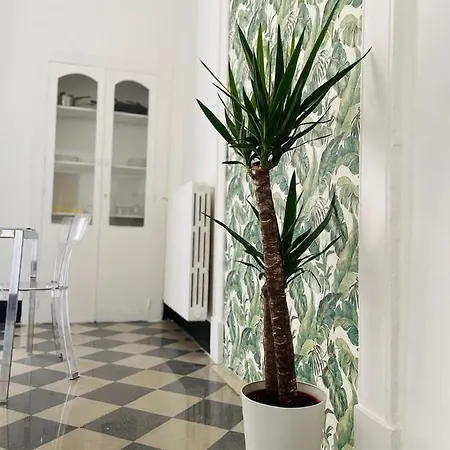 Bivu Apartment