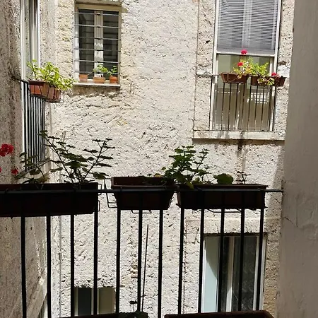 Apartment Bivu