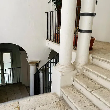 Bivu Bari