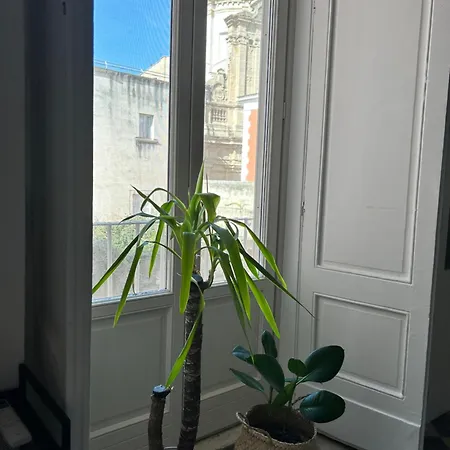 Apartment Bivu *